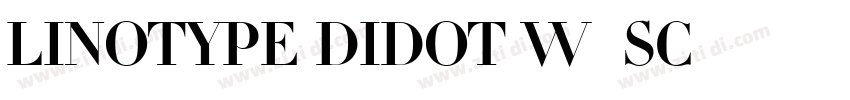Linotype Didot W01SC字体转换